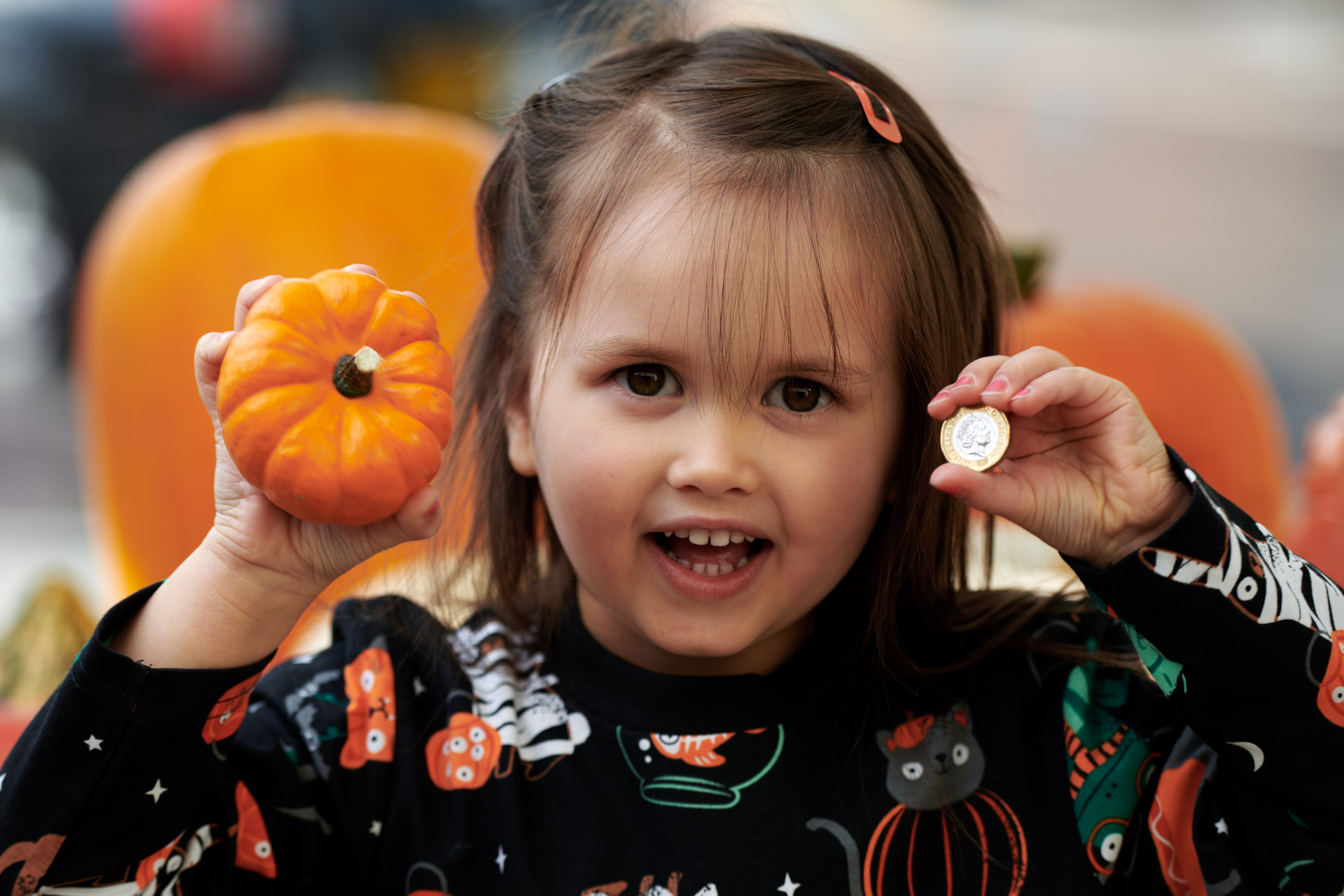 Spook-tacular savings: Morrisons to sell pocket money pumpkin range for Halloween with prices starting at just 59p