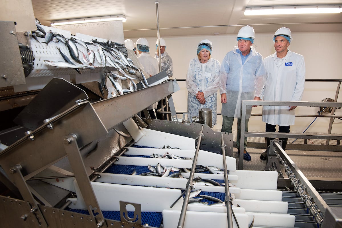 Morrisons opens UK’s largest fish freezing centre at Myton's Falfish site,Cornwall