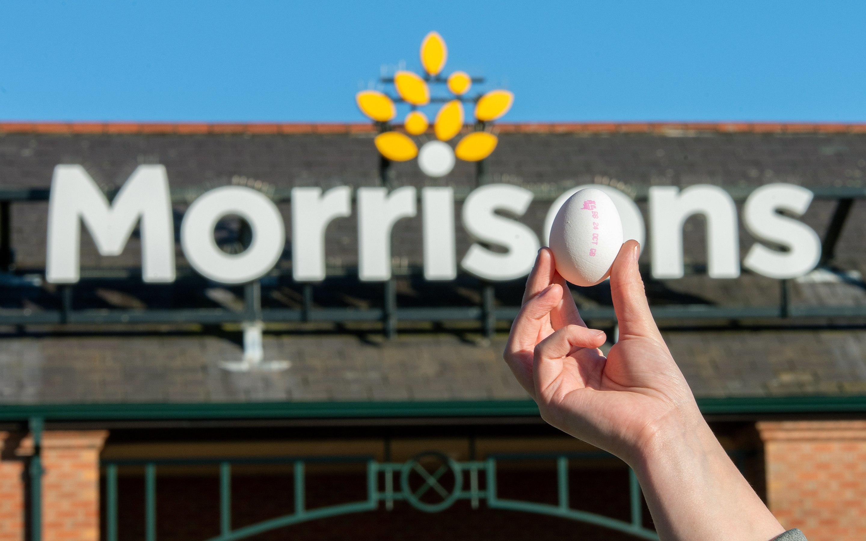 Morrisons launch white eggs that 'give back' to farmers